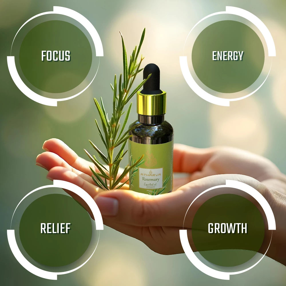 RBV B2B Atharva Rosemary Essential Oil (15ml)-12 Pcs.